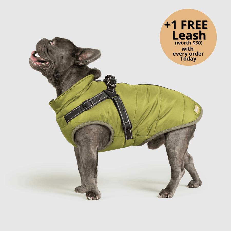 Toddln® 3 in 1 Winter Jacket