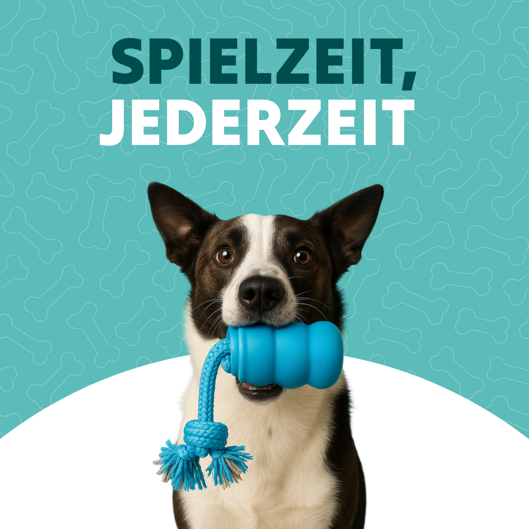 Toodlen® Mindball – Entwickelt, um die Konzentration, Neugier und emotionale Gesundheit Ihres Hundes zu verbessern