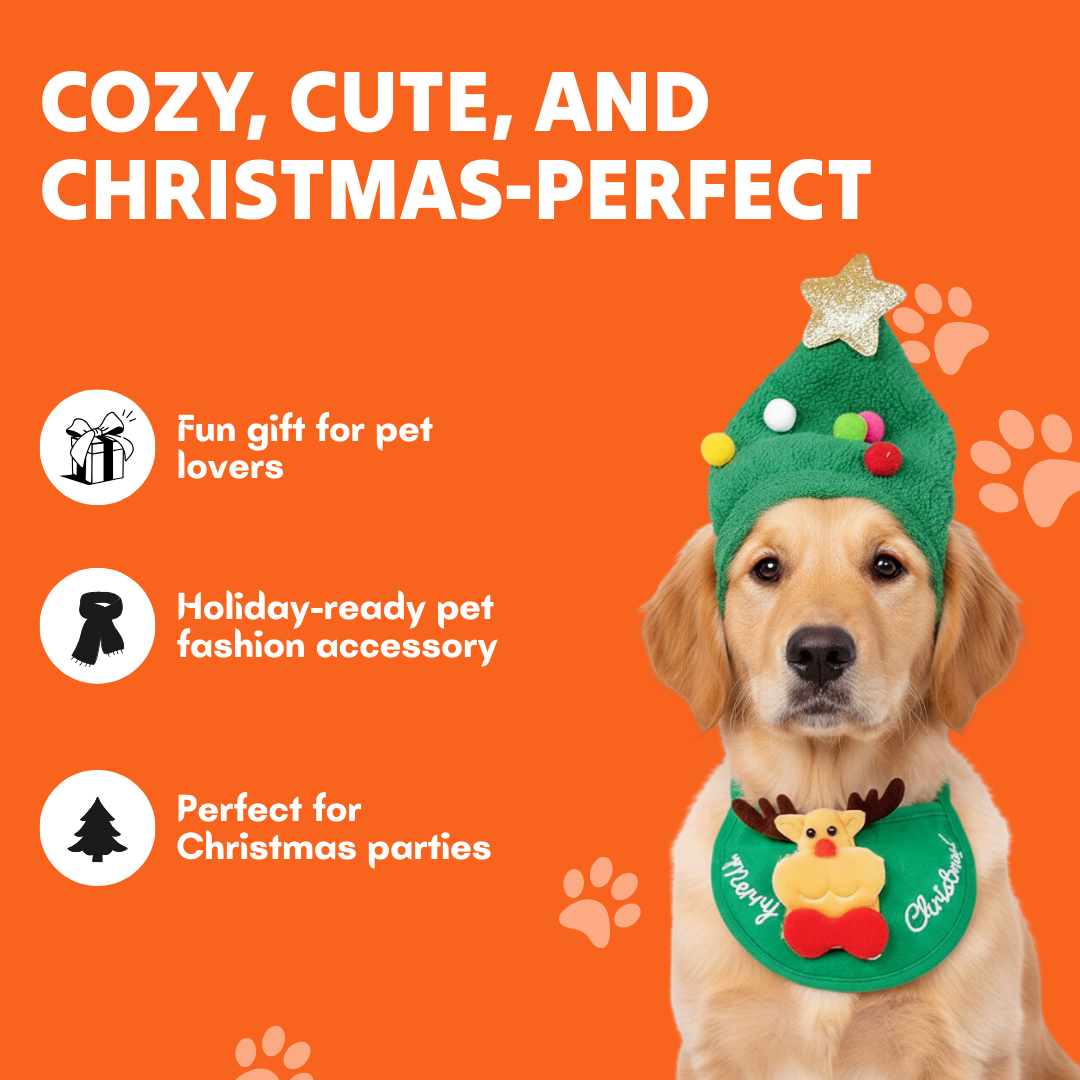 Hunde-Sprühmassagekamm 3 in 1 wiederaufladbar