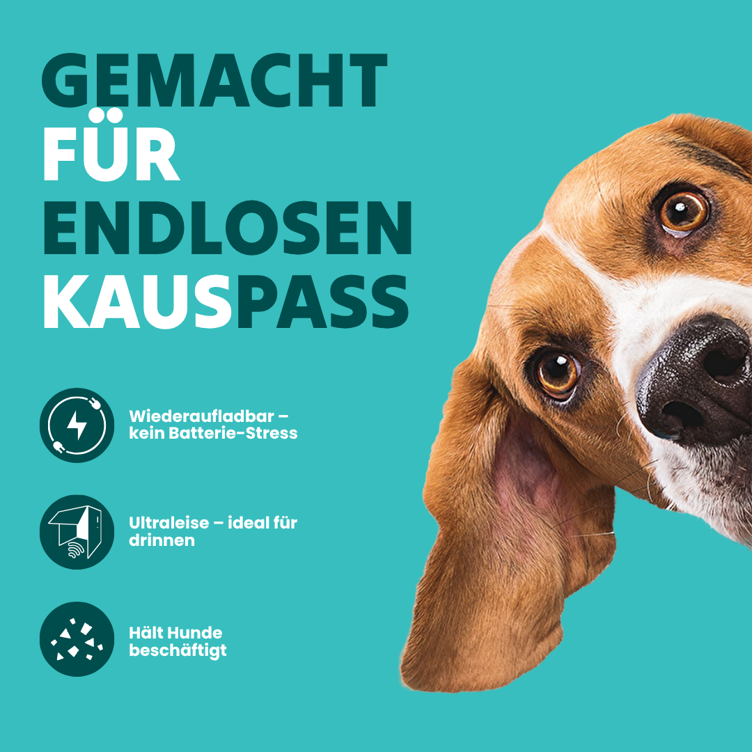 Toodlen® Mindball – Entwickelt, um die Konzentration, Neugier und emotionale Gesundheit Ihres Hundes zu verbessern