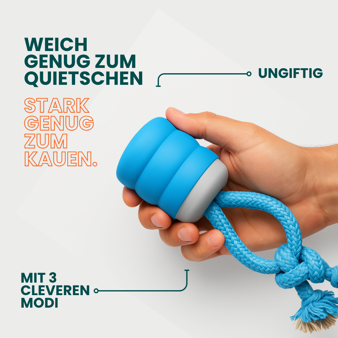 Toodlen® Mindball – Entwickelt, um die Konzentration, Neugier und emotionale Gesundheit Ihres Hundes zu verbessern