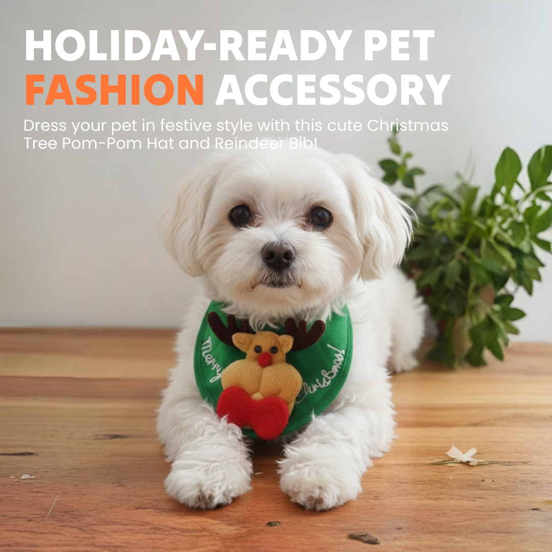 Hunde-Sprühmassagekamm 3 in 1 wiederaufladbar