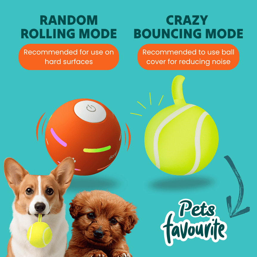 Toodln® Mindball – Entwickelt zur Verbesserung der Konzentration, Neugier und emotionalen Gesundheit Ihres Hundes