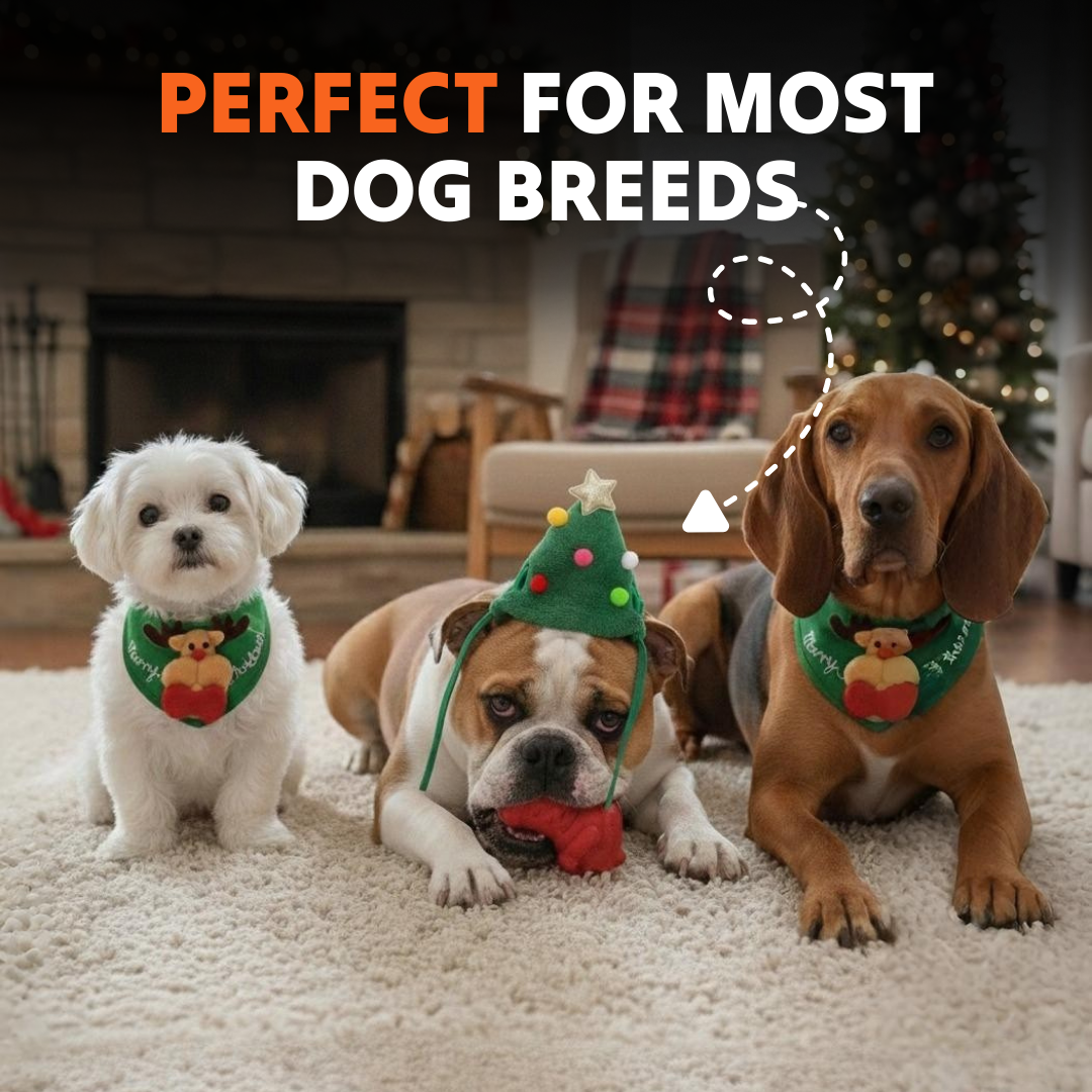 Hunde-Sprühmassagekamm 3 in 1 wiederaufladbar