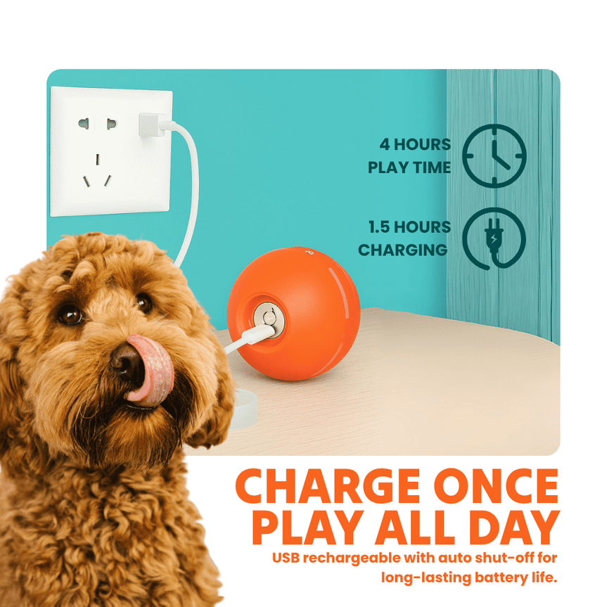 Toodln® Mindball – Entwickelt zur Verbesserung der Konzentration, Neugier und emotionalen Gesundheit Ihres Hundes