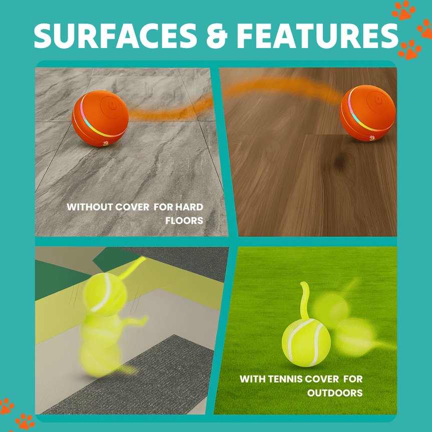 Toodln® Mindball – Entwickelt zur Verbesserung der Konzentration, Neugier und emotionalen Gesundheit Ihres Hundes