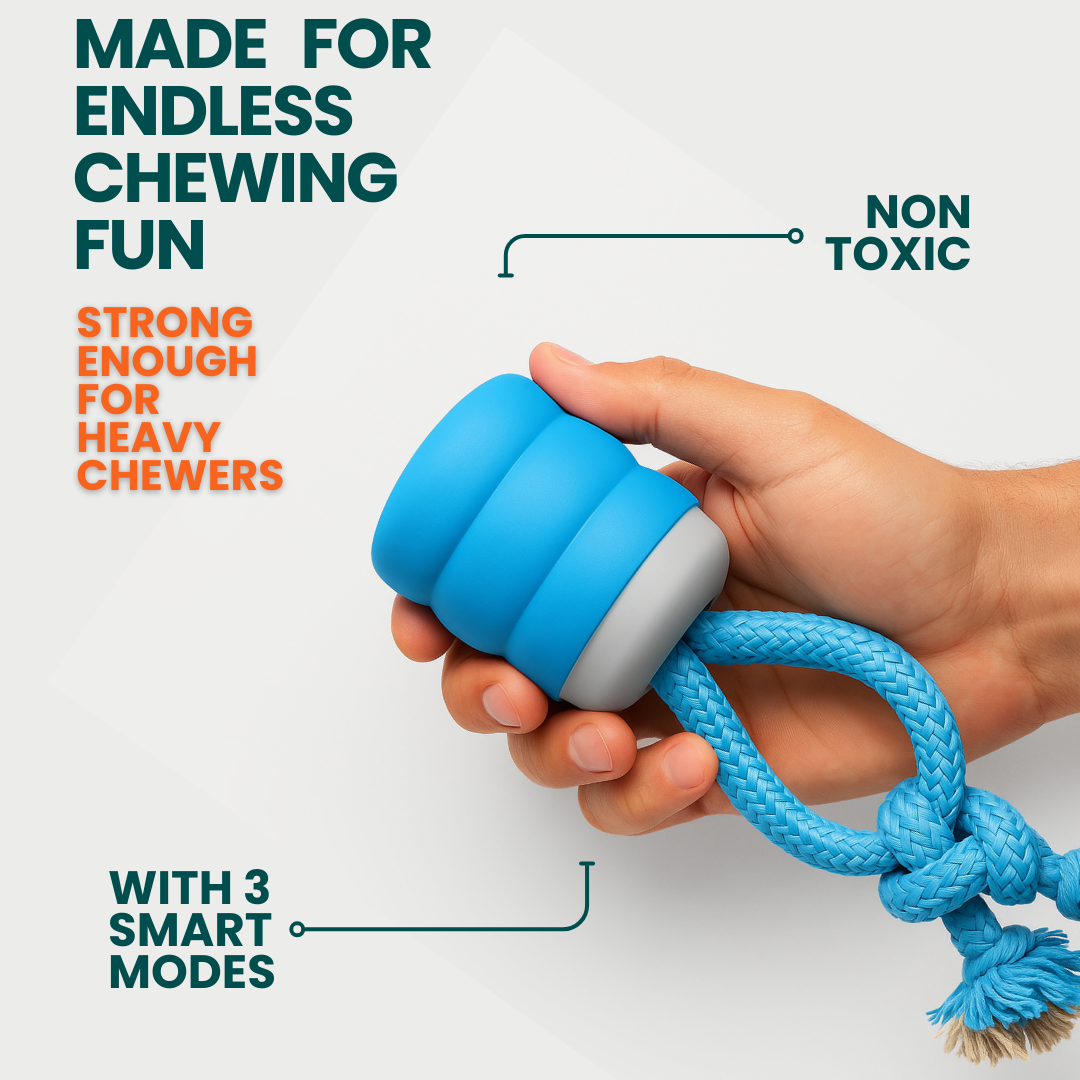 Toddln® Mindball – Designed to Improve Your Dog’s Focus, Curiosity & Emotional Health