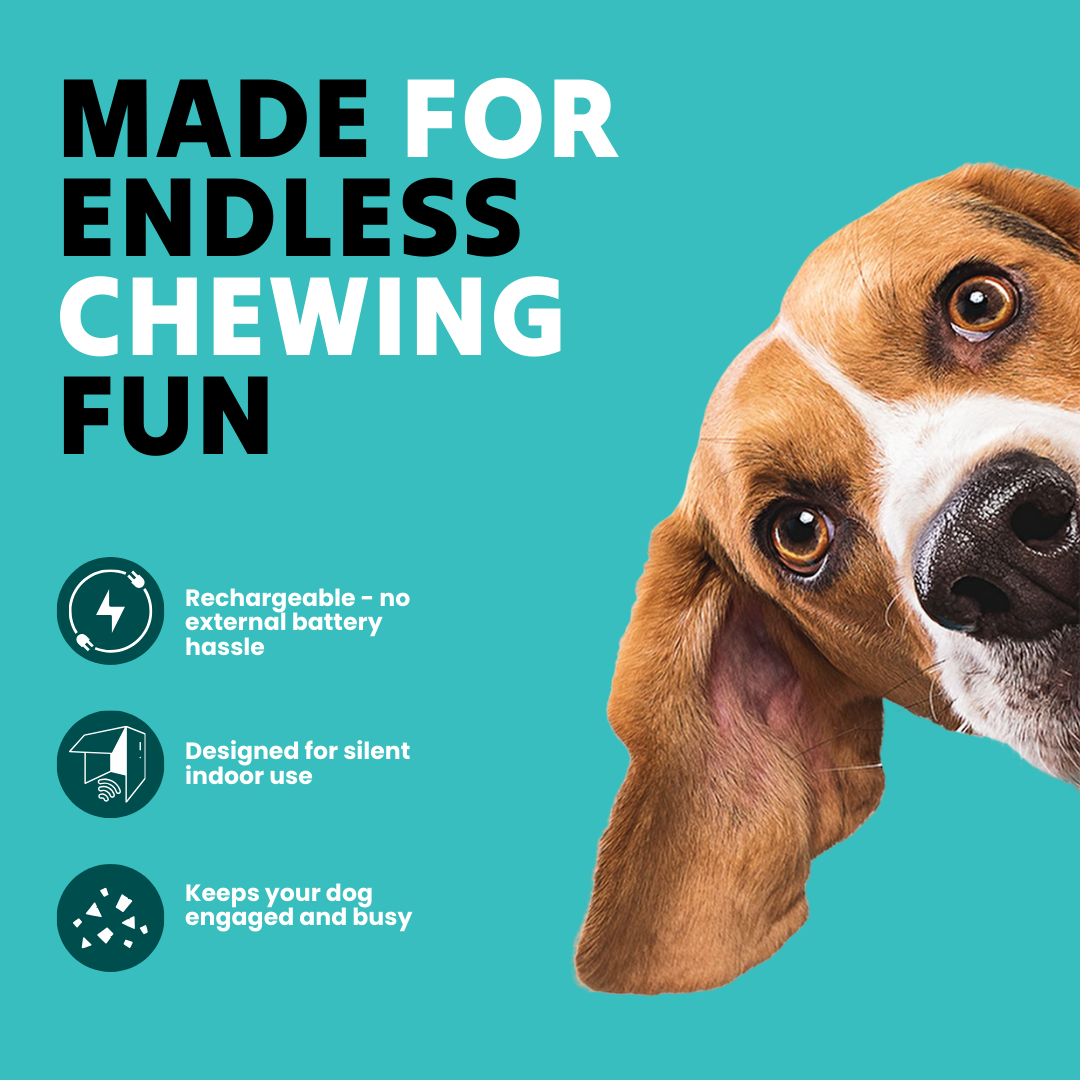 Toddln® Mindball – Designed to Improve Your Dog’s Focus, Curiosity & Emotional Health