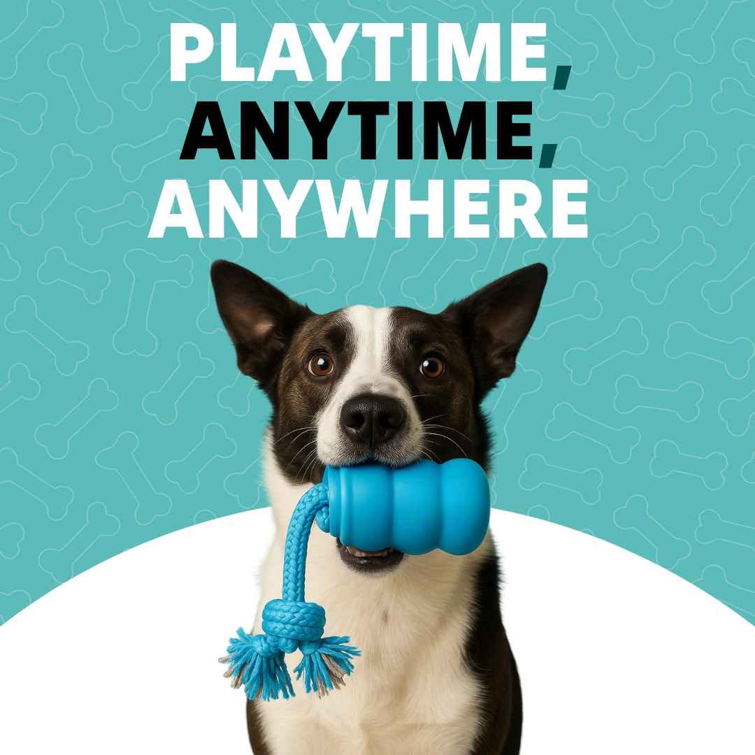 Toddln® Mindball – Designed to Improve Your Dog’s Focus, Curiosity & Emotional Health