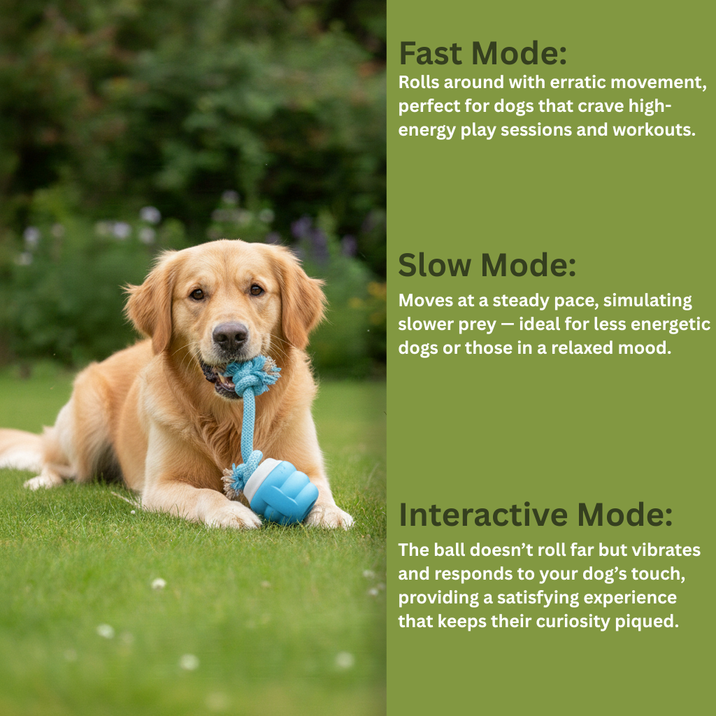 Toddln® Mindball – Designed to Improve Your Dog’s Focus, Curiosity & Emotional Health