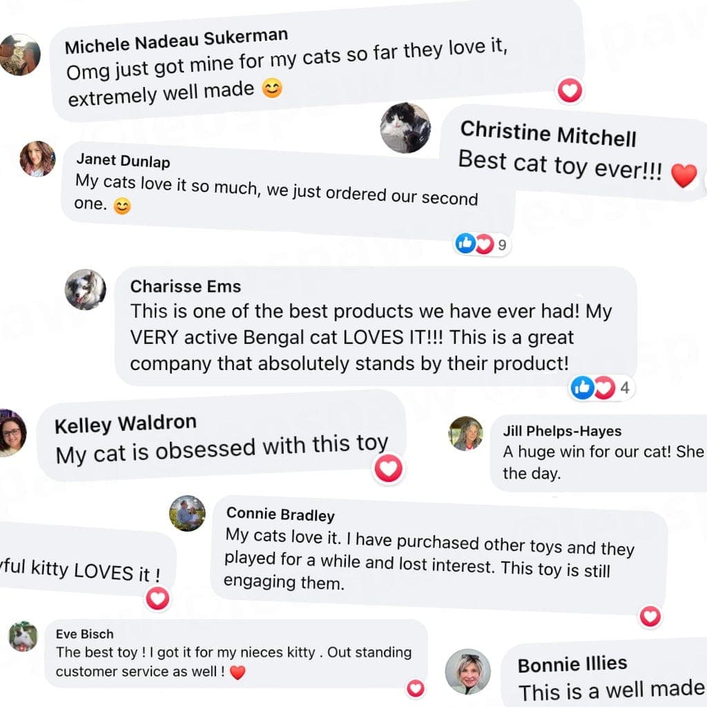 Toddln® flapping Bird Cat Toy